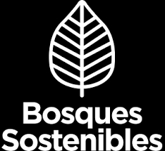 Bosques sostenibles