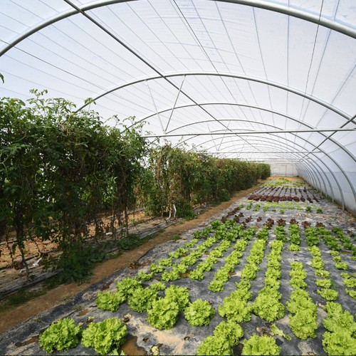 biozaki-producto-local.jpg