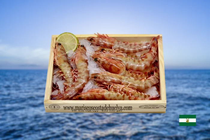 Langostino tigre de Sanlúcar 30/40 piezas image