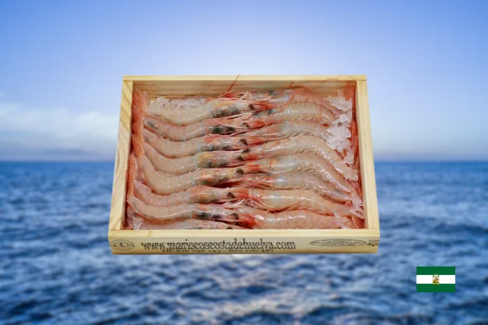 Gamba blanca de Huelva 1 kg 70/80 piezas image