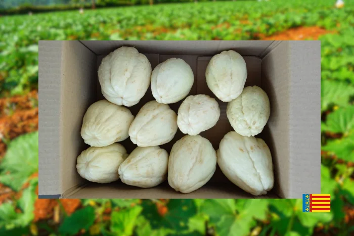 Chayote ecológico. Caja de 3Kg image