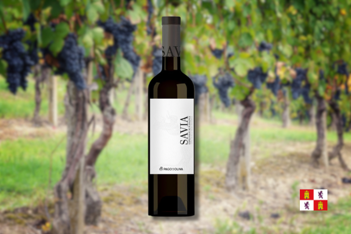 Vino tinto crianza Savia 3 uds. image