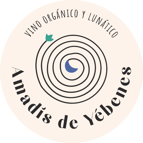 Logo-Amadis-PNG.png