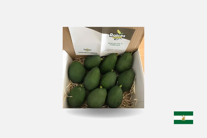 AGUACATE BIO 2,5 KG (9 UDS.APROX) image