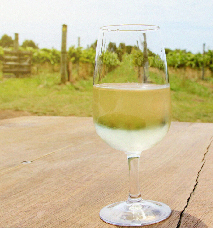 Txakoli Garate 6*75 cls.